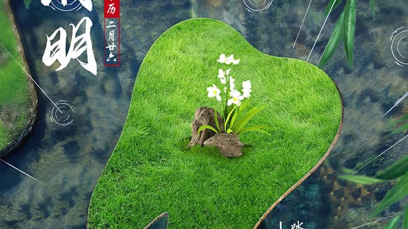 全口种植牙国产种植体：了解其批发报价之前，这些知识你不可不知**